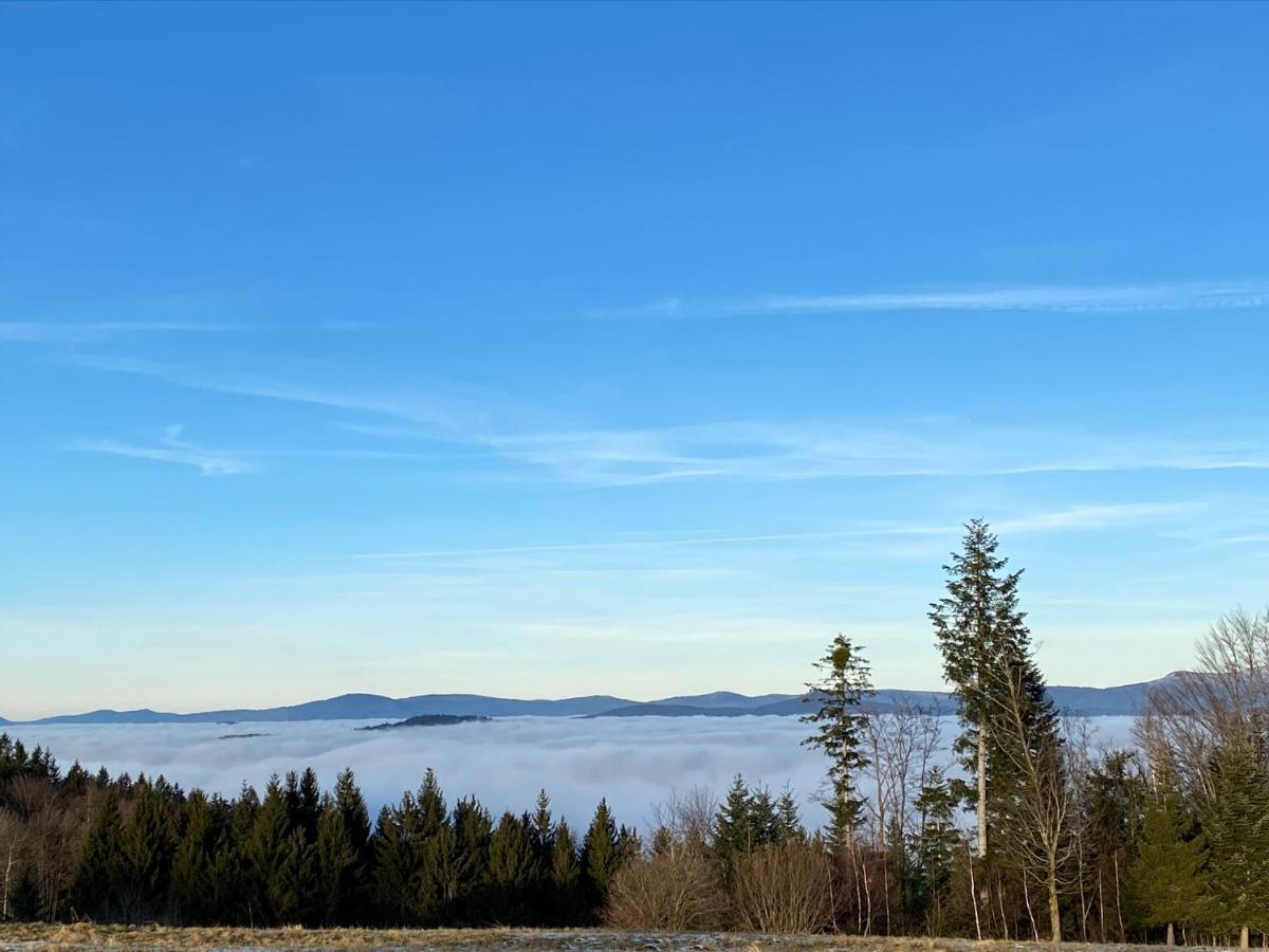 Uriges Top-Apartment Im Bayerischen Wald 3Br! +Netflix Schofweg Экстерьер фото
